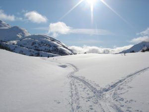 Snowy landscape on a sunny day with rocky hills on the back left and right, cross country ski tracks through the snow.