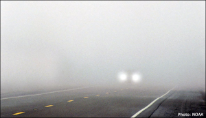 Foggy road with one set of headlights approaching the camera