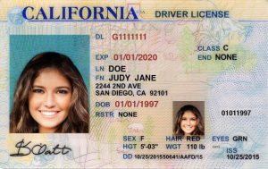 On The Nature of Vaccine Reticence:California drivers license with picture of young woman