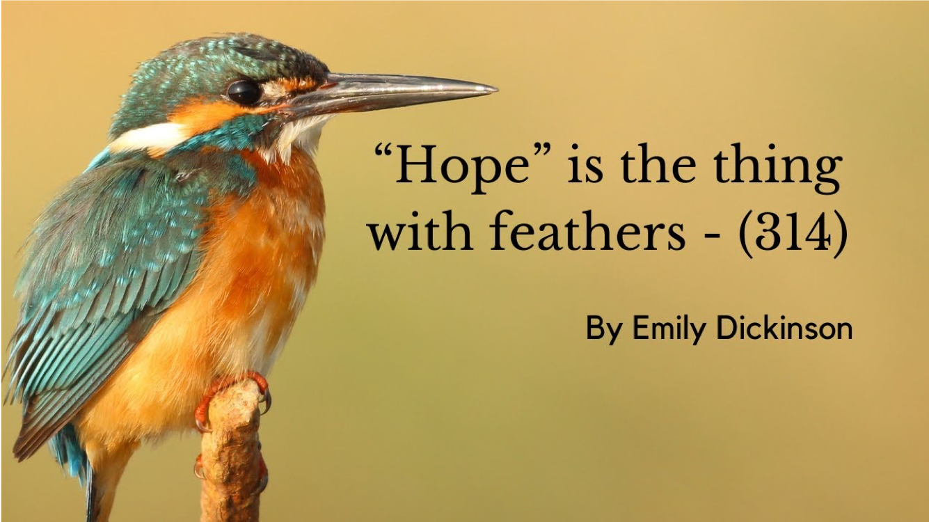 Robin on the left and Emily Dickinson Quote "Hope Is the Thing with Feathers"