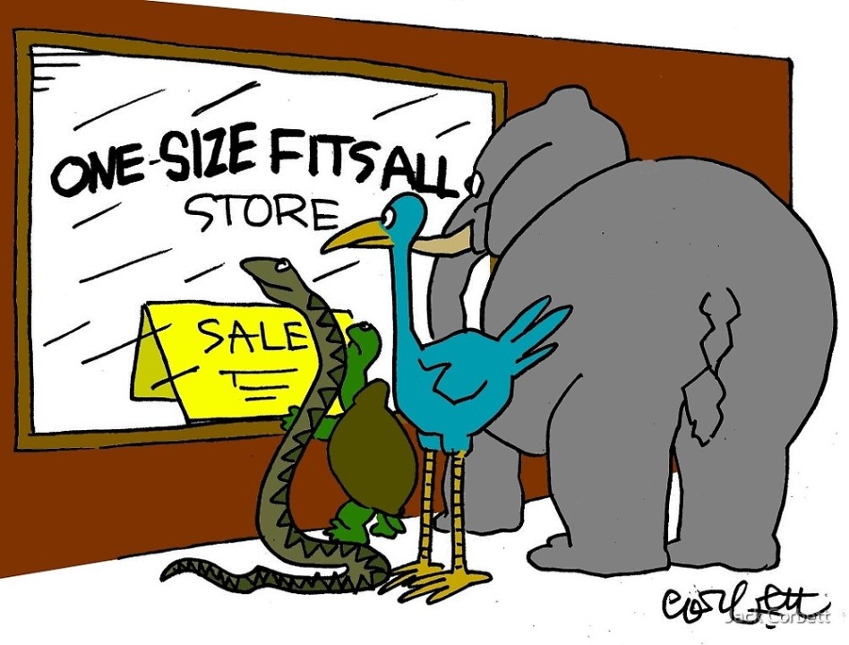 Colorful cartoon with the backs of a snake, turtle, bird and elephant as they gaze into a store window that says, "One Size Fits All."