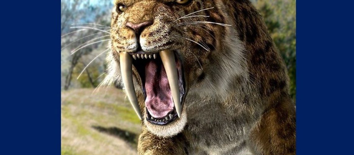 Sabertoothed tiger looking towards the left side of the camera and roaring ferociusly. Health in the Time of Coronavirus