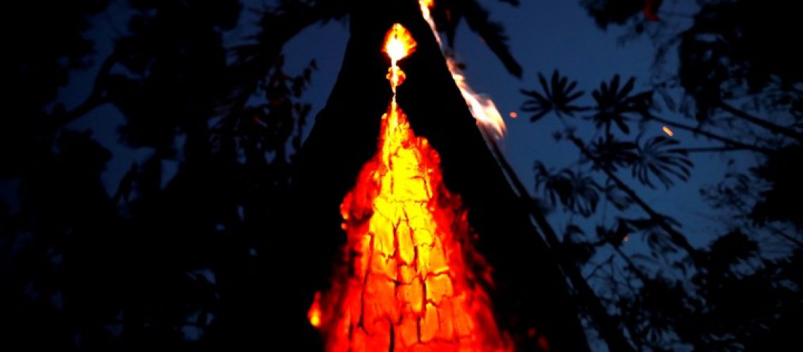 FILE PHOTO: A burning tree is seen during a fire in an area of the Amazon rainforest in Itapua do Oeste, Rondonia State, Brazil, September 11, 2019. Picture taken September 11, 2019. REUTERS/Bruno Kelly     TPX IMAGES OF THE DAY/File Photo - RC12F98C0E70